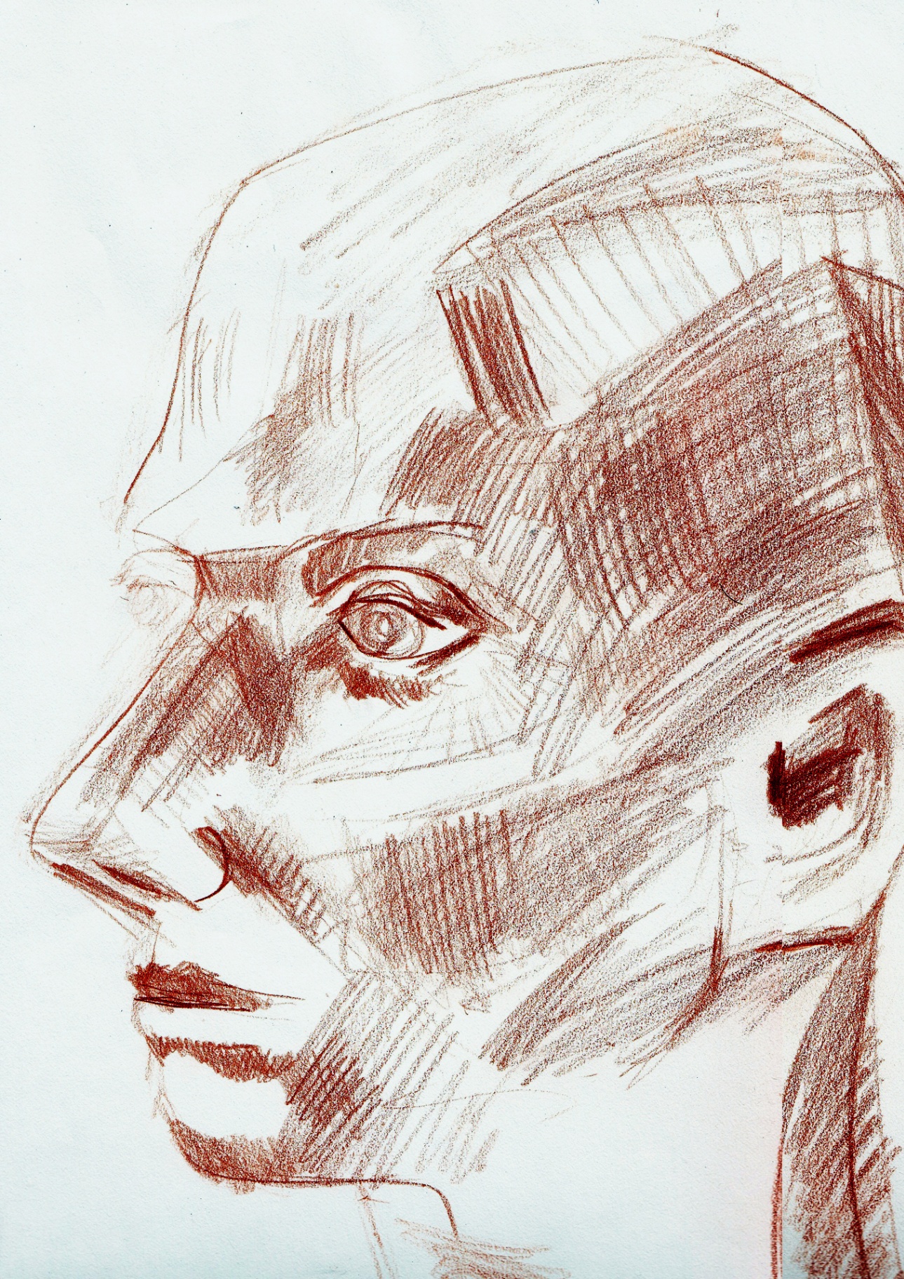 Face Studies - sanguine three-quarter portrait in red chalk
