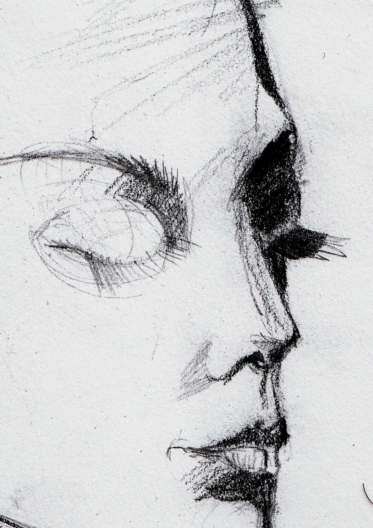 Face Studies - graphite close-up of eye and nose in profile