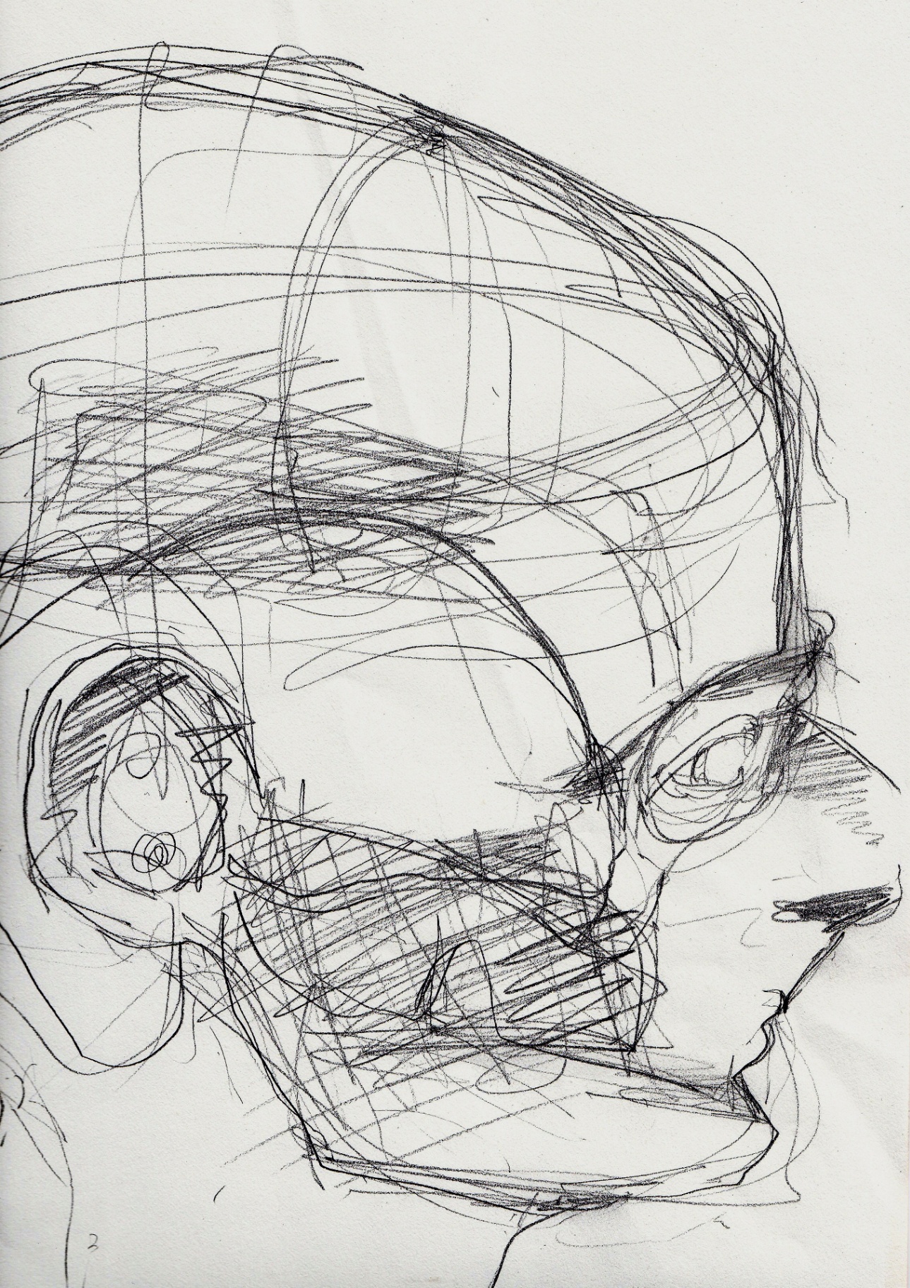 Face Studies - gestural graphite skull and profile study